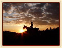 Trénink na jízdárně při západu slunce