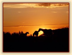 Gimli, Galen a Chuezca při západu slunce