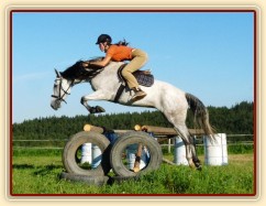 Divo při skokovém tréninku na jízdárně