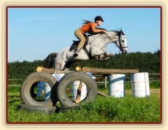 Divo při skokovém tréninku na jízdárně