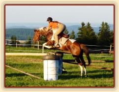 Vikina při skokovém tréninku na jízdárně