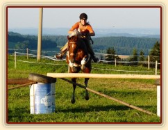 Vikina při skokovém tréninku na jízdárně