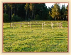 Naše nová pevná kruhovka:-)