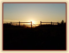 Naše nová pevná kruhovka:-)