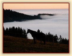 Svítání, začátek listopadu