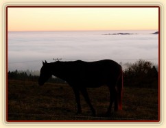 Svítání, začátek listopadu