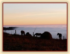 Svítání, začátek listopadu