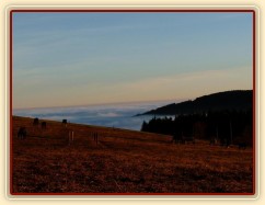 Ranní slunce, koně v zimním výběhu a jejich výhled do krajiny v mlze