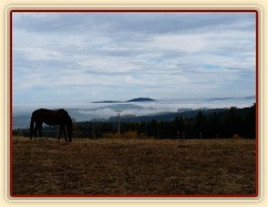 Agáta a kopce v mlze