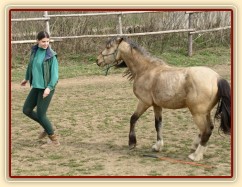 Parellistění ve volnosti