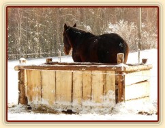 Monty odpočívá u sena