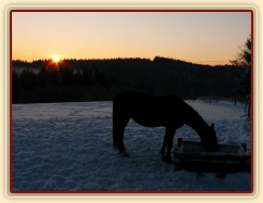 Pití vody při východu slunce