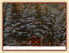 Agáta odchází po snídani