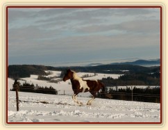 Vikina a její oblíbený pohyb: všechny nohy ve vzduchu:-)