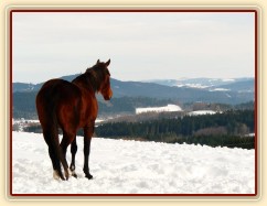 Agáta odpočívá a kouká do dáli