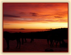 Východ slunce barví mlhu a nebe do neskutečných barev