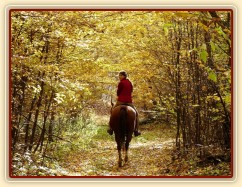 Na podzim 2009 už byla Viki na vyjížďkách klidná