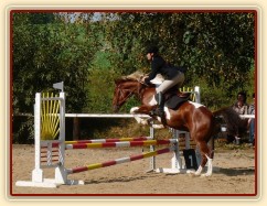 Září 2009, první závody