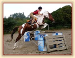 Léto 2009, skokové řady šly Vikině vždy dobře...