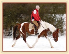 Únor 2010, Vikina se umí pěkně vytáhnout v klusu dolů...