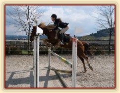 Duben 2010, první oficiální závody stupně Z, opracoviště