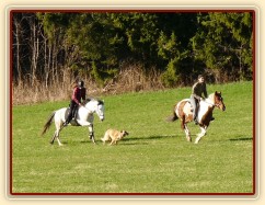 Duben 2010, nic není nad to se pořádně proběhnout...