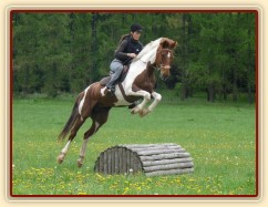 Květen 2010, první trénink crossových skoků, Pecínov. Viki měla ze začátku z pevných překážek velký respekt