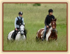 Červen 2010, trénink crossu v Pecínově