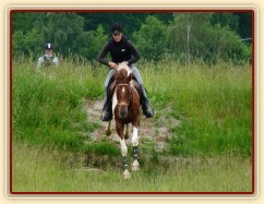 Červen 2010, trénink crossu v Pecínově