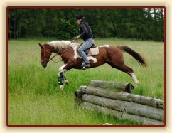 Červen 2010, trénink crossu v Pecínově