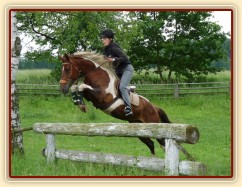 Červen 2010, trénink crossu v Pecínově, skok nad potokem