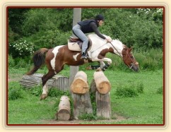 Červen 2010, trénink crossu v Pecínově, velký oxer