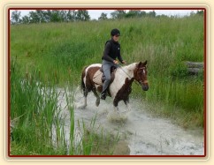 Červen 2010, trénink crossu v Pecínově, cválání vodou
