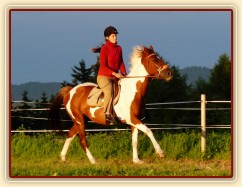 Srpen 2010, práce na jízdárně v Čeleticích při zapadajícím slunci