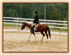 Září 2010, závody všestrannosti v Borové, konec drezurní úlohy