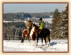 Prosinec 2010, drezurní práce