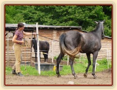 Kasira při práci ze země - konec ustupování