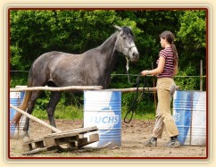 Kasira při práci ze země - zacouvání mezi sudy