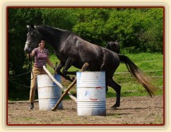 Kasira při práci ze země - skok pře překážku