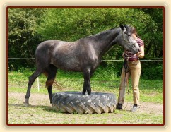 Kasira při práci ze země - stoupnutí do pneumatiky