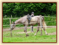 Dukát na lonži se chambonem
