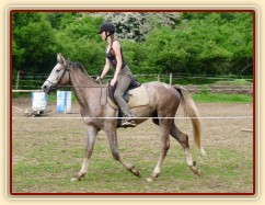 Dukát při práci na jízdárně - klus