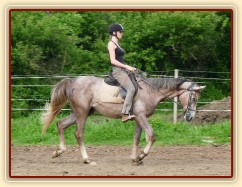 Dukát při práci na jízdárně - přechod do zastavení