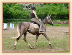 Dukát při práci na jízdárně - klus