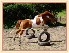 Mikey skáče ve volnosti