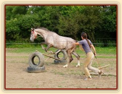Dukát při práci ze země - skok přes křížek