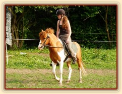 Mikey pod sedlem - kruh v kroku