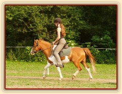 Mikey pod sedlem - klus