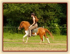 Mikey pod sedlem - cval