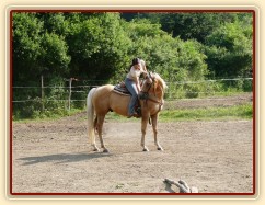 Jacs při ježdění na jízdárně - odměna:-)